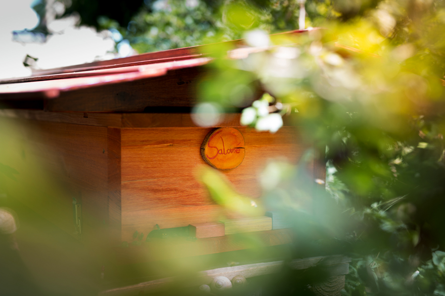 Dach für die Bienenkiste, wesensgemäße Bienenhaltung, Mellifera