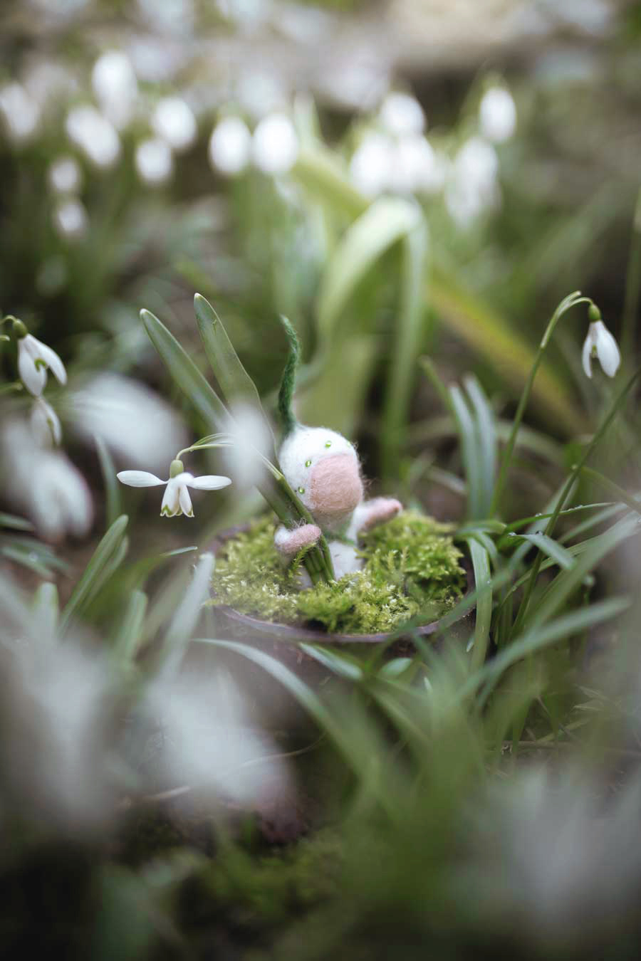 gefilztes Schneeglöckchen-Blumenkind (Baby-Schneeglöckchen) für den Waldorf-Jahreszeitentisch
