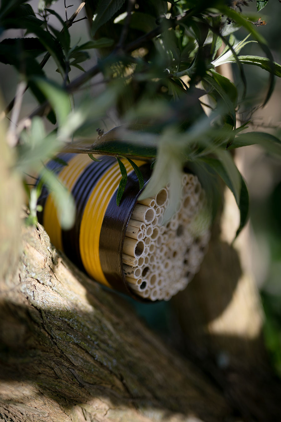 Wildbienen-Nisthilfe aus einer Konservendose selber machen
