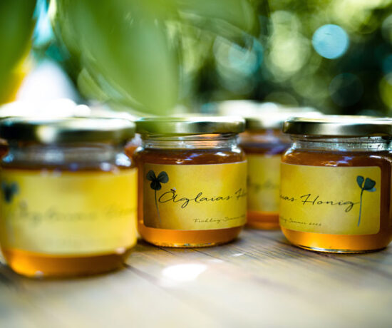 Honigetiketten, Etiketten, Honiglabel, Honigglas, Strohbeute, Einraumbeute, Mellifera, Honigernte, wesensgemäße Bienenhaltung